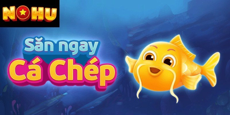 Hướng dẫn chi tiết cách tải bắn cá rút tiền về momo
